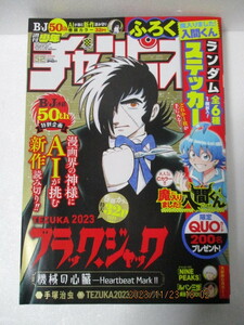 ★送料無料★週刊少年チャンピオン５２号　付録応募券付き