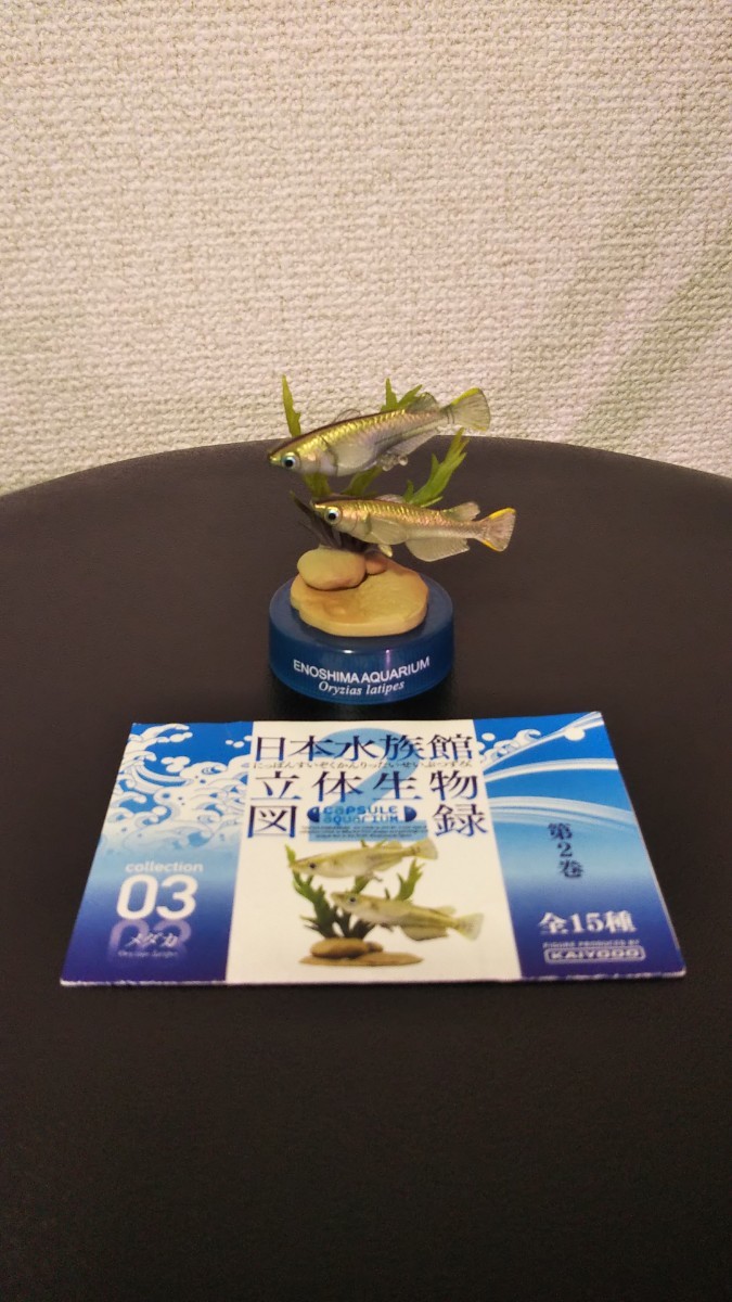2025年最新】Yahoo!オークション -日本水族館立体生物図録 2の
