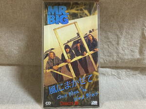 MR.BIG - GOIN' WHERE THE WIND BLOWS 8cmシングル 短冊形 未開封新品 日本盤 廃盤 レア盤