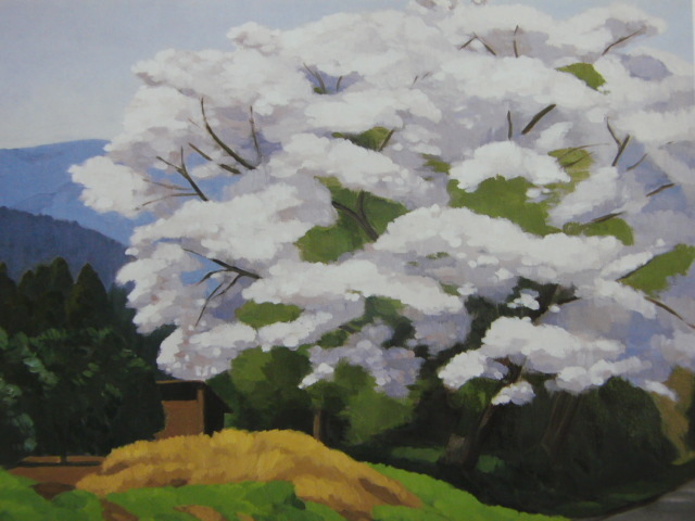 Hirohide Hashimoto, [Sakura blüht], Aus einem seltenen Kunstbuch, In guter Kondition, Nagelneu mit hochwertigem Rahmen, Kostenloser Versand, Japanische Malerei Kirschblüte, Yoni, Malerei, Ölgemälde, Natur, Landschaftsmalerei