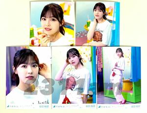 《乃木坂46》公式グッズ 生写真 柴田柚菜　おひとりさま天国 5枚 5種 コンプ ヨリチュウヒキ