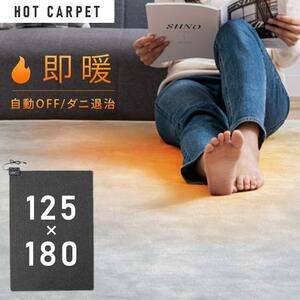 ホットカーペット 1.5畳 本体 TEKNOS 125×180cm おしゃれ 節電 ダニ退治 折り畳み 温度調節 電気カーペット 電気マット 1.5畳用 YT949