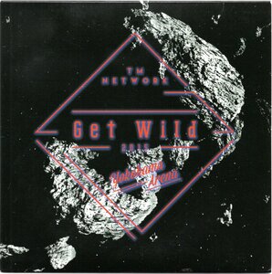 【中古CD】TM NETWORK/Get Wild 2015 HUGE DATA