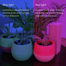 植物育成ツインLEDライト USB給電式 室内植物の成長を促進 アングル自在 フレキシブルネック 赤色+青色 フルスペクトルLED ZWDSL200_画像7