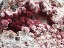 【希少な球状化結晶471g】エリスライト　コバルト華　原石　標本_画像2
