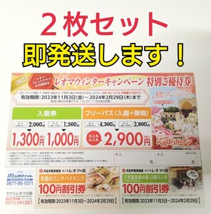 送料無料！2枚セット！ニューレオマワールド ウィンターキャンペーン　フリーパス　入場　入園　割引券　優待券　クーポン