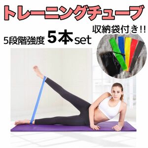 トレーニングバンド 収納袋付き☆5本セット ゴムチューブ エクササイズ 筋トレ