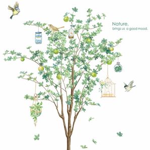 ウォールステッカー 小鳥 鳥かご ボタニカル 観葉植物 DIY 木 傷隠し