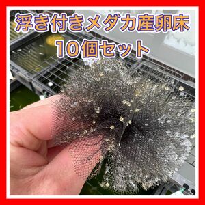 浮き付き メダカ産卵床10個セット