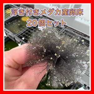 浮き付きメダカ産卵床20個セット