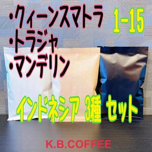 1-15 インドネシア 飲み比べ 3種セット自家焙煎 ※説明文を必ずご確認下さい