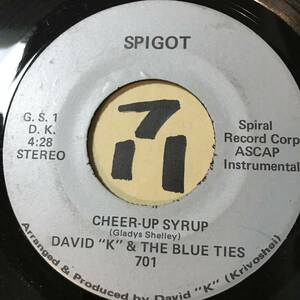 試聴 自主制作盤カリブソウル45 DAVID K & THE BLUE TIES CHEER-UP SYRUP VOCAL / INST 両面EX+ 1975 