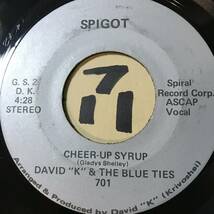 試聴 自主制作盤カリブソウル45 DAVID K & THE BLUE TIES CHEER-UP SYRUP VOCAL / INST 両面EX+ 1975 _画像2