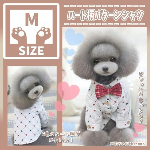 254 M シャツ トップス 犬服 ドッグウェア ペット服 小型犬 記念日 撮影