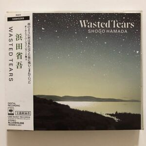 B22087　CD（中古）WASTED TEARS　浜田 省吾