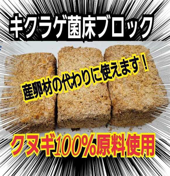 カブトムシ幼虫の栄養強化に!キクラゲ菌床【3ブロック】マットに埋めるだけで幼虫がモリモリ食べます!クワガタの産卵床にも クヌギ100%