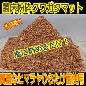 ☆改良版☆ヒマラヤひらたけ菌床クワガタマット【10L】瓶に詰めるだけ!初令の小分けにも便利☆オオクワ、ヒラタ、虹色、ノコギリ系に抜群