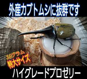 送料無料！超特大ハイグレードプロゼリー☆65g　通常の4倍！成分に拘ったプロ仕様☆トレハロース増量！産卵促進・長寿・体力増進に☆30個入