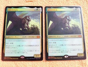 マジックザギャザリング 龍王ドロモカ foil 2枚セット 2X2 MTG ダブルマスターズ Dragonlord Dromoka