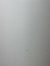 イ0755 「エアプランツ」tillandsia tricholepis × brealitoensis 抜き苗【最新到着・希少・美株・チランジア】_画像8