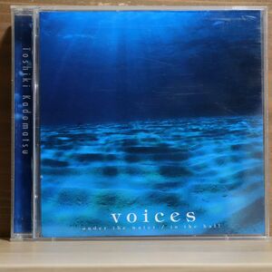 角松敏生/VOICES UNDER THE WATER/IN THE HALL/BMG BVCR18011 CD