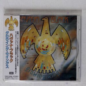 ハヴァナ・ブラック/グロウイング・ウィングス/EMIミュージック・ジャパン TOCP8166 CD □