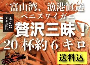 紅ズワイガニ 富山湾蟹 漁港直送 浜湯で即冷凍　20杯