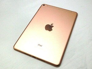 1000円スタート タブレット端末 iPad mini 第5世代 64GB 12.4.1 MUX72J/A 初期化済み アイパッドミニ 本体のみ アップル Apple TOS FF11