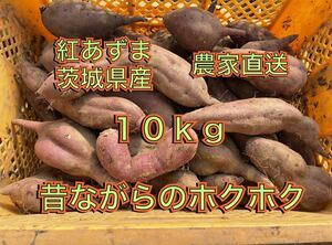 べにあずま　訳あり(大きな傷等はありません)紅東　紅あずま　10kg B級品 ホクホク系　さつまいも 茨城県産　10キロ