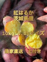 土付き　紅はるか　べにはるか　S・SSサイズ(50〜200g)　5kg さつまいも 茨城県産　5キロ　長期保管向け　追熟　熟成向き_画像3