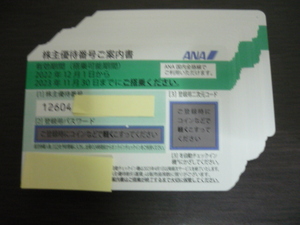 お急ぎの方 10分以内対応 番号先に連絡あり◎ANA株主優待 割引券 1枚、2枚、3枚、4枚、5枚、6枚、7枚、8枚、9枚迄 今月30日の搭乗に使用可