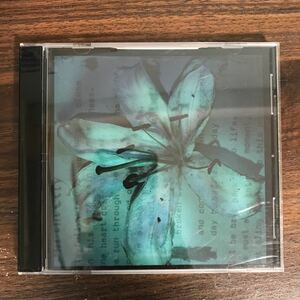 (B431)帯付 中古CD150円 ARB INFINITELY