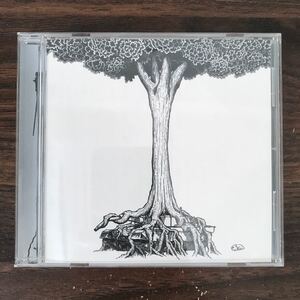 (B435)帯付 中古CD150円 ストレイテナー NO~命の跡に咲いた花~(初回限定盤)