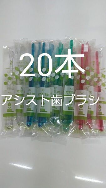 20本歯科医院専用ciアシスト歯ブラシ　Mふつう（やわらかめ在庫少）