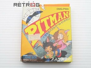 ピットマン ゲームボーイ GB