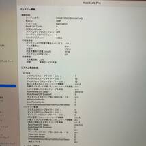 MacBook Pro 2017年モデル core i5@2.3Ghz 16GB SSD 256GB 13.3インチ Apple 動作確認済み A1708 充電回数235回 IrisPlus Graphics640_画像10