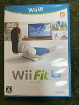 Wii Fit U / バランスWiiボード(シロ)+フィットメーターセット_画像6