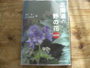 北海道の野の花　植物図鑑　野草　ハイキング　北海道新聞社 B4