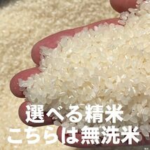 【即購入可 / 全国送料無料 / 匿名配送】 正味 10Kg 令和4年 玄米 選べる精米７段階 ⇒ 無洗米 上白米 分づき米 冷蔵保管 お米 徳島産 /_画像2