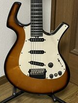 Parker guitars nitefly_画像2