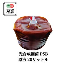 秀玄 光合成細菌 PSB 原液 20L【全国一律送料1,000円】_画像1