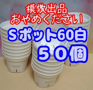 ◆送料無料◆Sポット60 白 50個 スリット鉢 プラ鉢 2号 6cm プレステラ 丸型 多肉植物