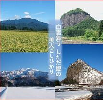 令和5年産新米　新潟産ミルキークイーン白米10kg 新潟県三条市旧しただ村産　冷めてもモチモチ美味しいミルキーをおにぎりやお弁当に？_画像5