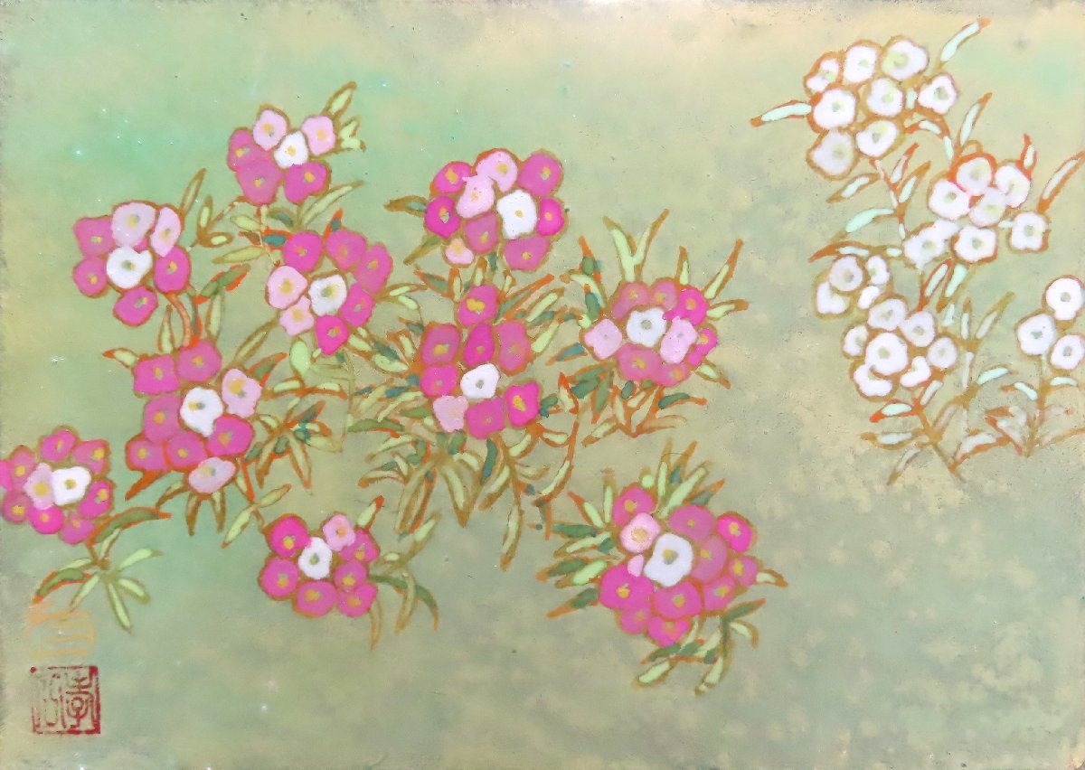 He continues to draw flowers and plants with a rich sensitivity Popular Japanese painter Koichi Suzuki SM Alyssum with frame [Seiko Gallery, 5000 items on display], painting, Japanese painting, flowers and birds, birds and beasts