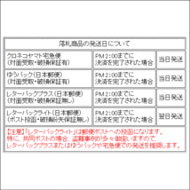 ★米国製★ゴーペッド（GO-PED）スクーター用部品：強化アルミ スプロケット 60T（新品）_画像3