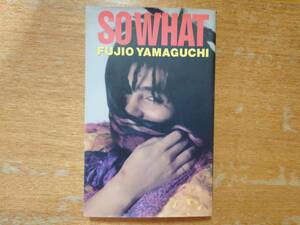 【即決】山口冨士夫「SO WHAT」宝島コレクション/1990年初版■ダイナマイツ/村八分/TEARDROPS■大野祥之