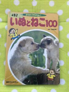 即決*《同梱歓迎》*いぬとねこ100 どうぶつアルバム(2) 監修/今泉忠明 講談社◎多数出品中a83