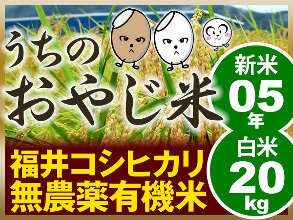 【白米】無農薬有機米コシヒカリ 白米（玄米20kgを精米発送）（福井県産・令和5年産新米）食味ランク最高 S・うちのおやじ米！