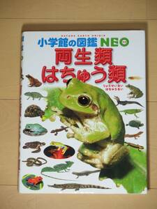 ★小学館の図鑑NEO★両生類・はちゅう類★