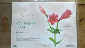 非売品!令和6年!2024年!ボタニカルアート!花!フラワー!草木!カレンダー!植田由喜子!